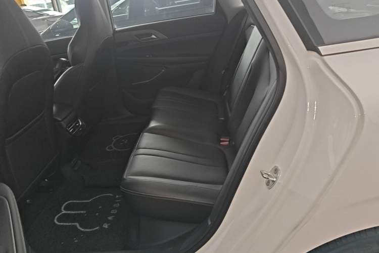 Used XPeng P5 2021 460G+ Left Rear Seat