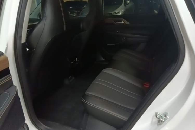 Used XPeng P5 2021 550G Left Rear Seat