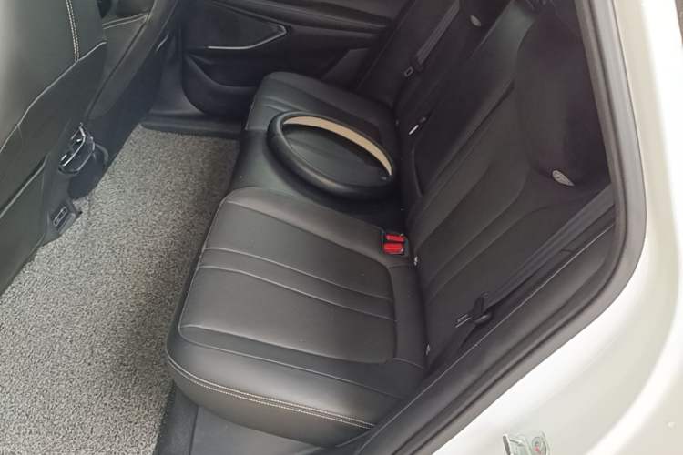 Used XPeng P5 2021 550E Left Rear Seat