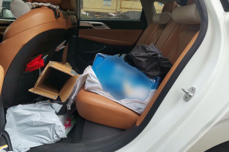 Used XPeng P5 2021 600P Left Rear Seat