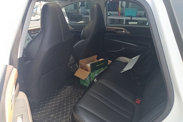 Used XPeng P5 2021 550G Left Rear Seat