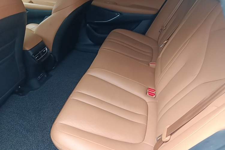 Used XPeng P5 2021 600P Left Rear Seat