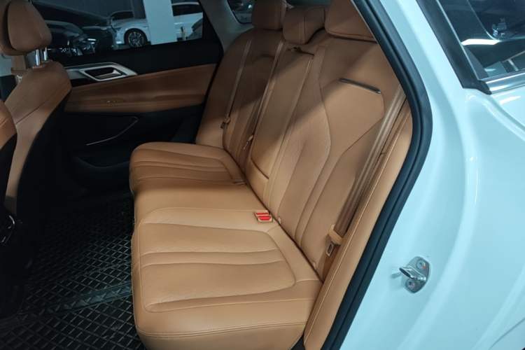 Used XPeng P5 2021 550E Left Rear Seat