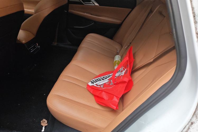 Used XPeng P5 2021 600P Left Rear Seat