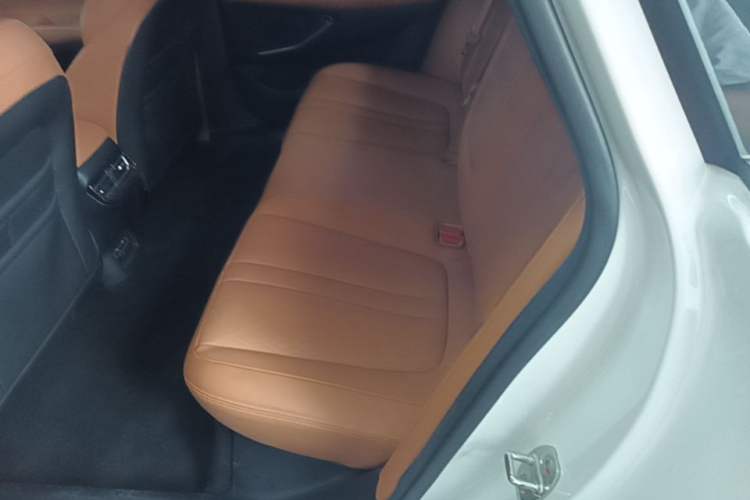 Used XPeng P5 2021 550E Left Rear Seat