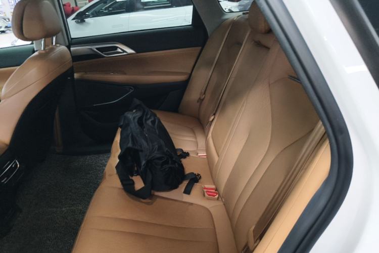 Used XPeng P5 2021 600P Left Rear Seat