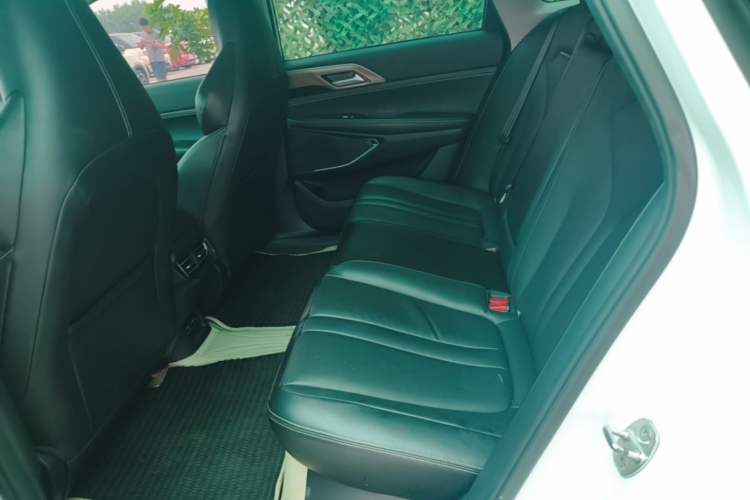 Used XPeng P5 2021 550G Left Rear Seat