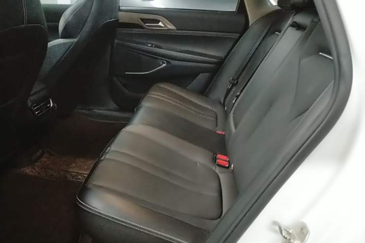 Used XPeng P5 2021 550G Left Rear Seat