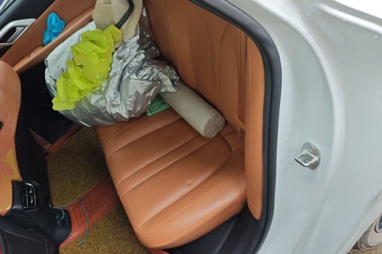 Used XPeng P5 2021 550E Left Rear Seat
