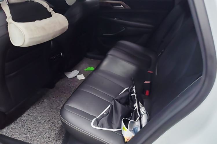 Used XPeng P5 2021 550P Left Rear Seat