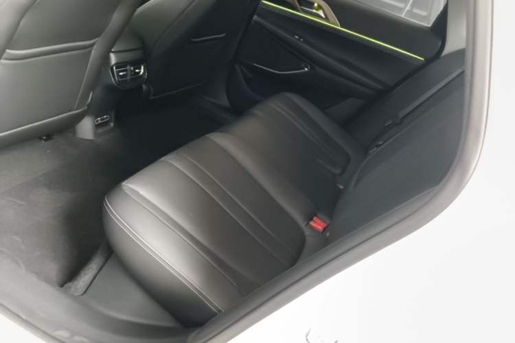 Used XPeng P5 2021 460G+ Left Rear Seat