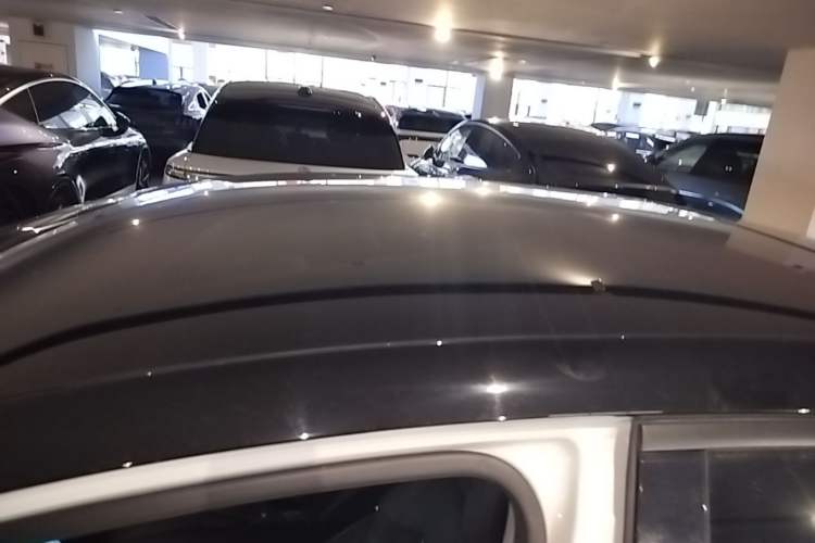 Used XPeng P5 2021 460E Roof