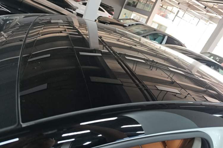 Used XPeng P5 2021 550E Roof