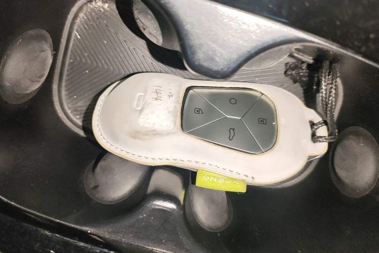 Used XPeng P5 2021 550G Vehicle Key