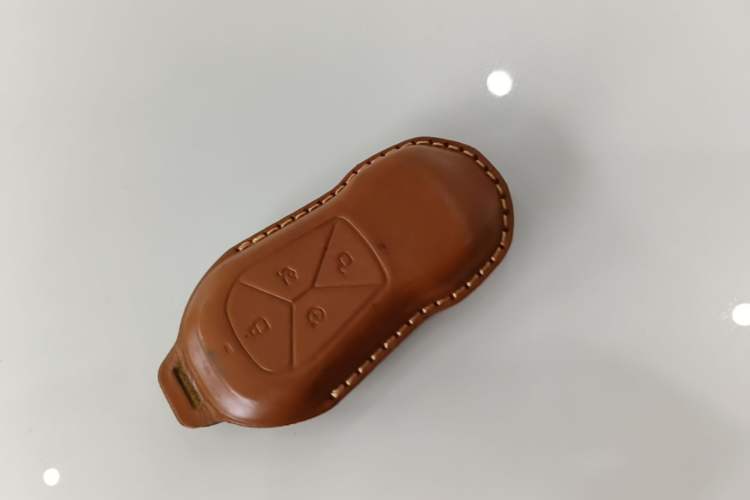 Used XPeng P5 2021 460G+ Vehicle Key