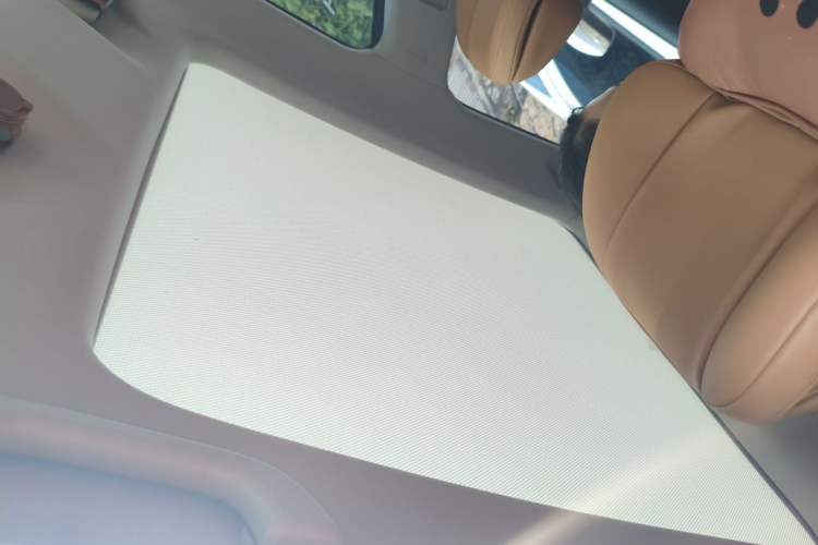 Used XPeng P5 2021 550P Headliner