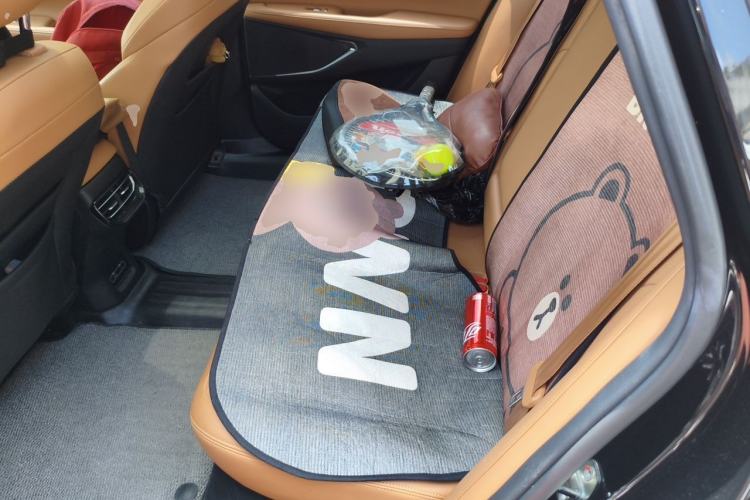 Used XPeng P5 2021 550P Left Rear Seat