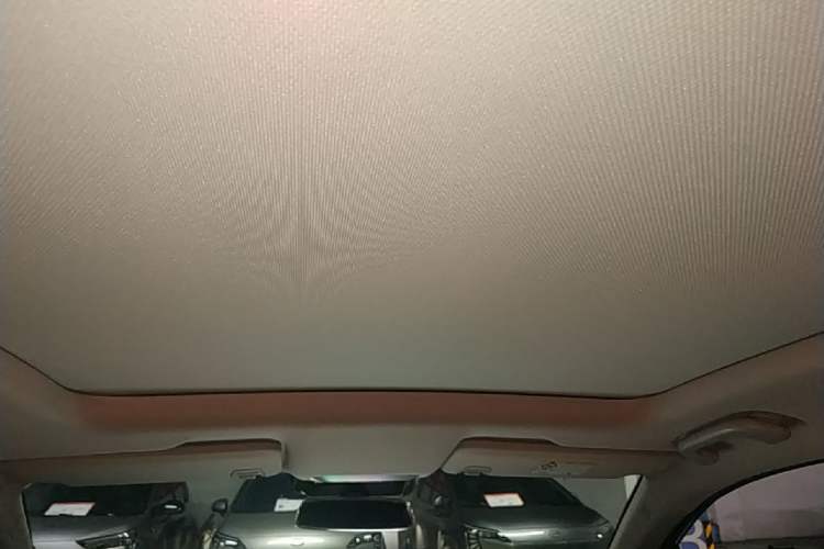 Used XPeng P5 2022 550E Headliner