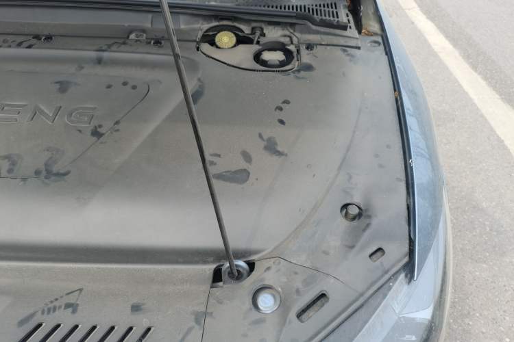 Used XPeng P5 2022 550P Engine Bay Left