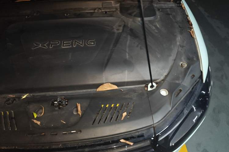 Used XPeng P5 2022 600P Engine Bay Left