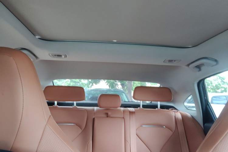 Used XPeng P5 2022 550E Headliner