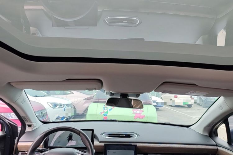 Used XPeng P5 2022 510E Headliner