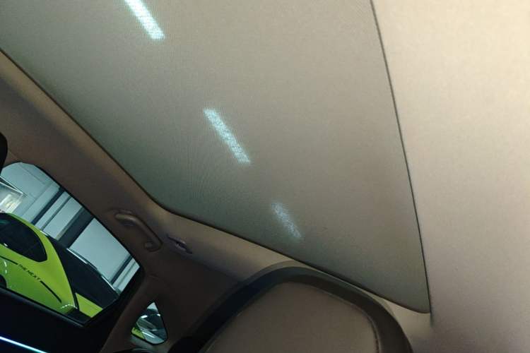 Used XPeng P5 2022 460E+ Headliner