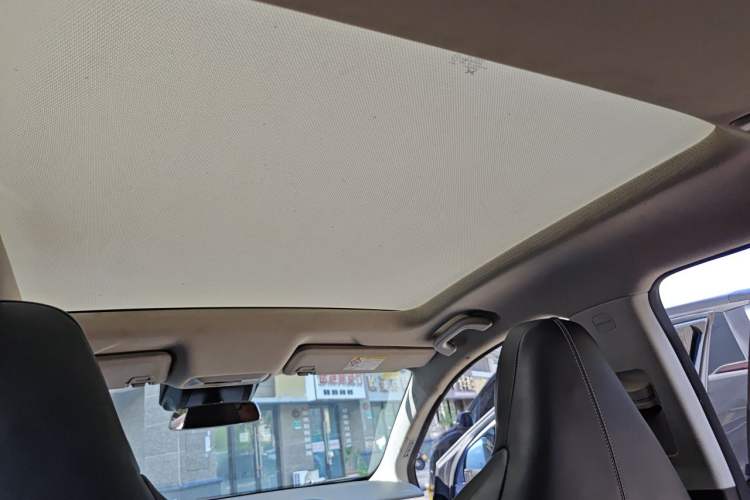 Used XPeng P5 2022 460E+ Headliner