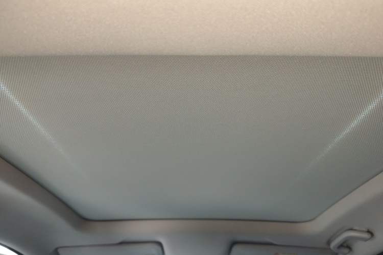 Used XPeng P5 2022 460P Headliner
