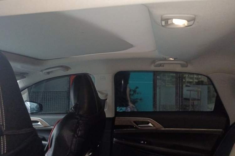 Used XPeng P5 2022 550P Headliner