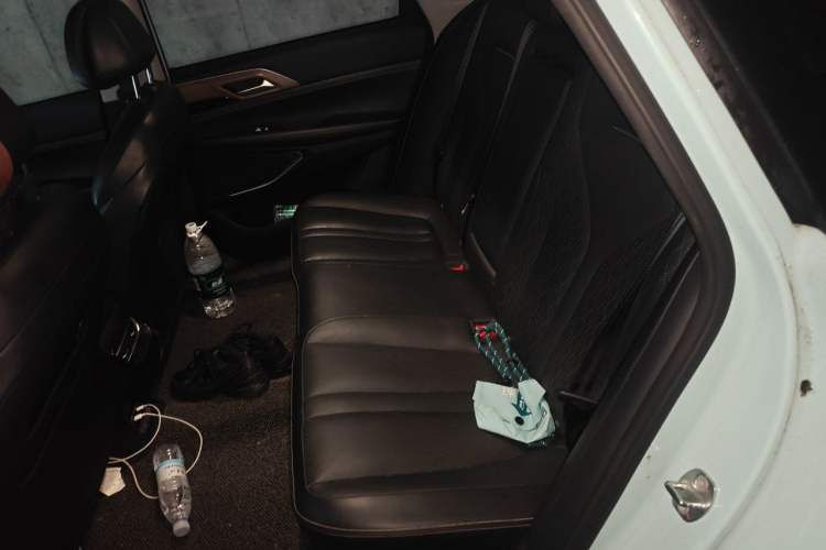 Used XPeng P5 2022 600P Left Rear Seat
