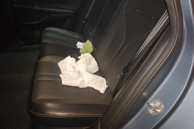 Used XPeng P5 2022 550P Left Rear Seat