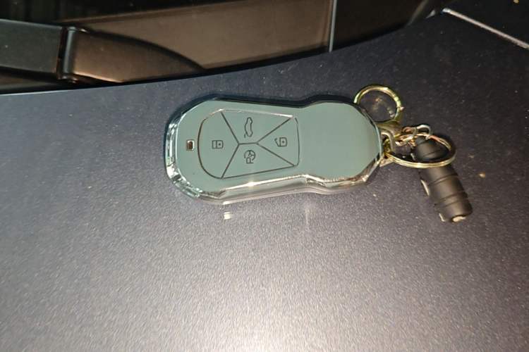 Used XPeng P5 2022 460E+ Vehicle Key