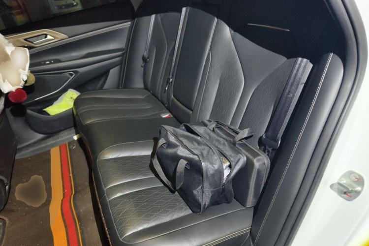 Used XPeng P5 2022 550E Left Rear Seat