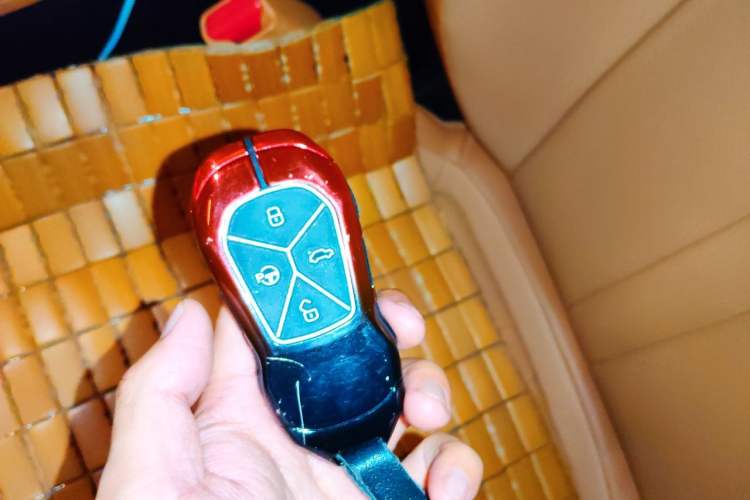 Used XPeng P5 2022 550E Vehicle Key