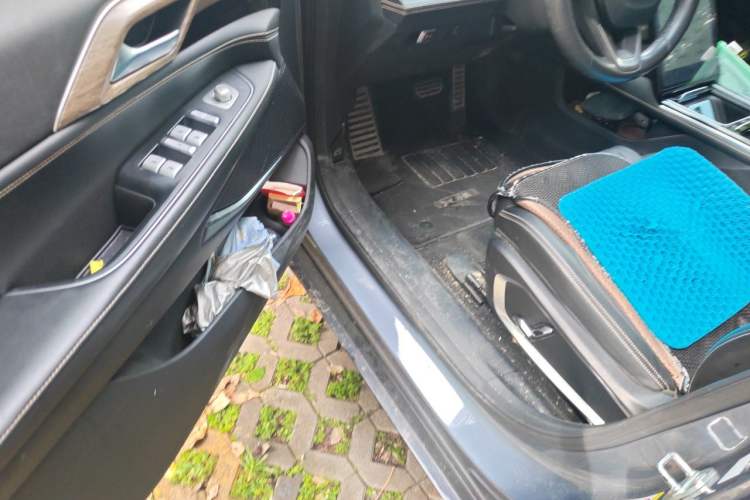 Used XPeng P5 2022 550E Driver Seat