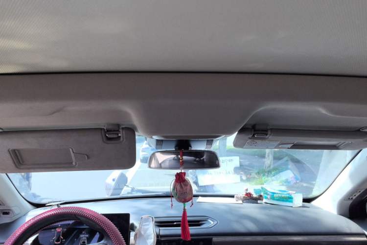 Used XPeng P5 2022 600P Headliner