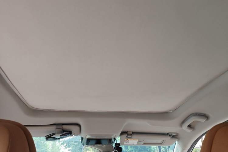 Used XPeng P5 2022 550E Headliner