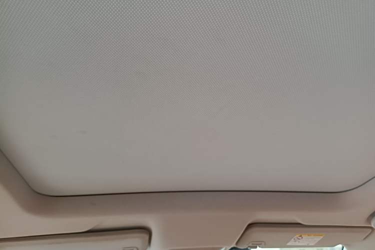 Used XPeng P5 2022 600P Headliner