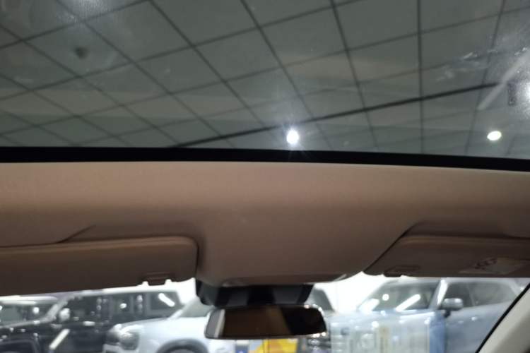 Used XPeng P5 2022 460E+ Headliner