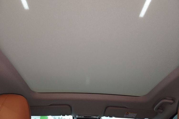 Used XPeng P5 2022 460E+ Headliner