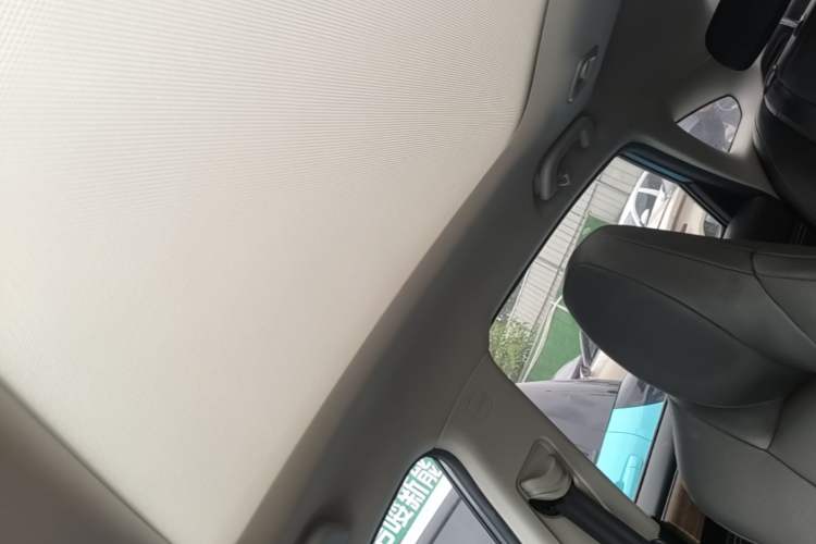 Used XPeng P5 2022 600P Headliner
