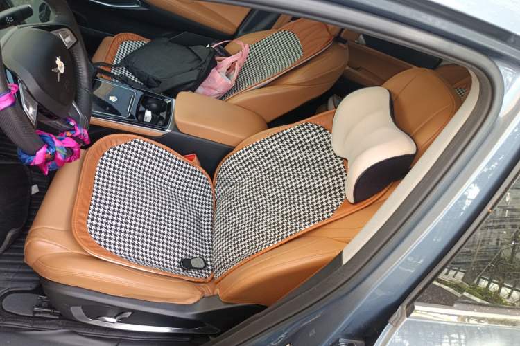 Used XPeng P5 2022 460E+ Left Front Seat