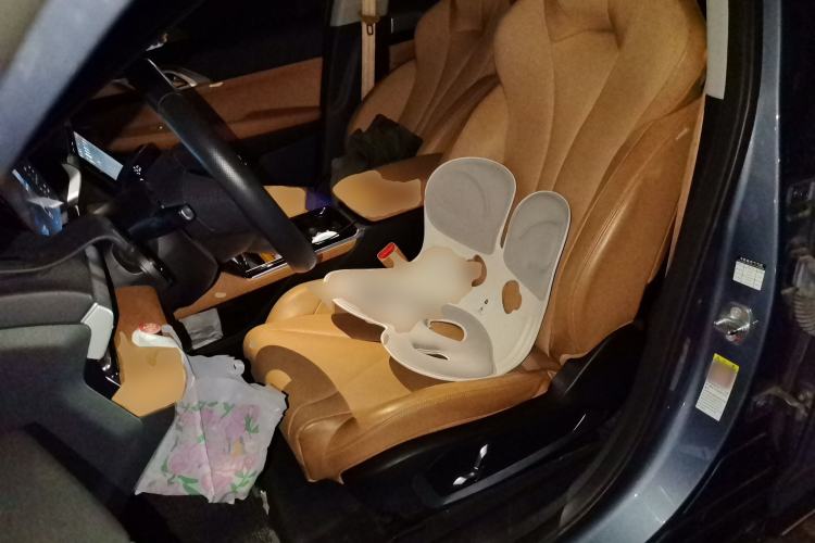 Used XPeng P5 2022 550E Left Front Seat