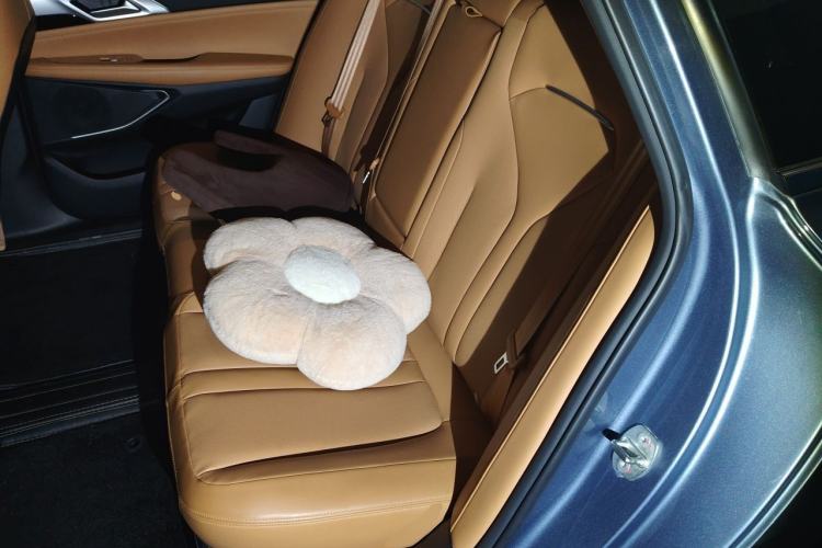 Used XPeng P5 2022 550E Left Rear Seat