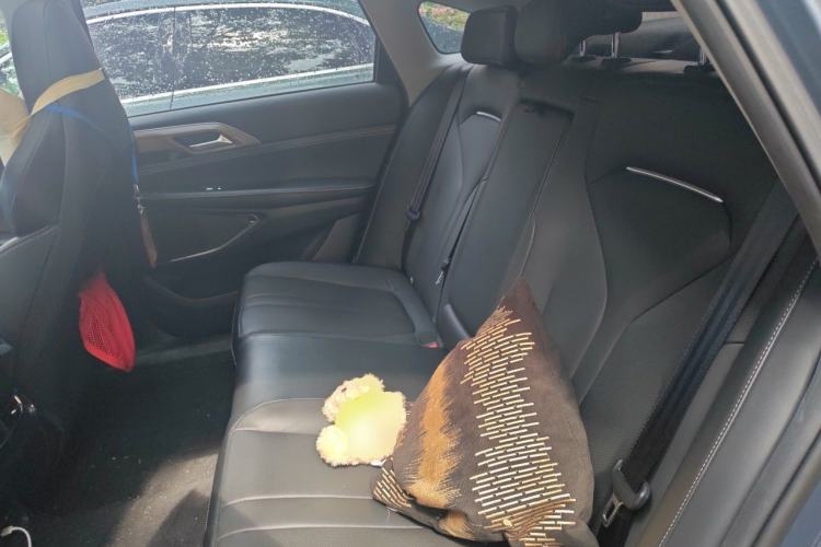 Used XPeng P5 2022 550E Left Rear Seat
