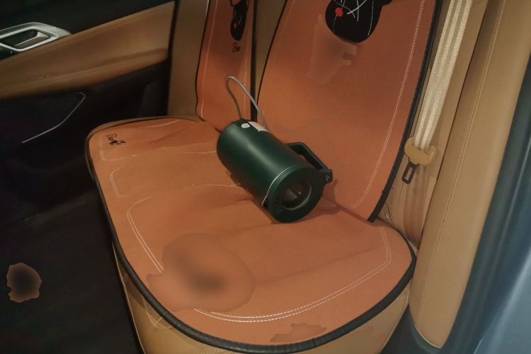Used XPeng P5 2022 460E Left Rear Seat