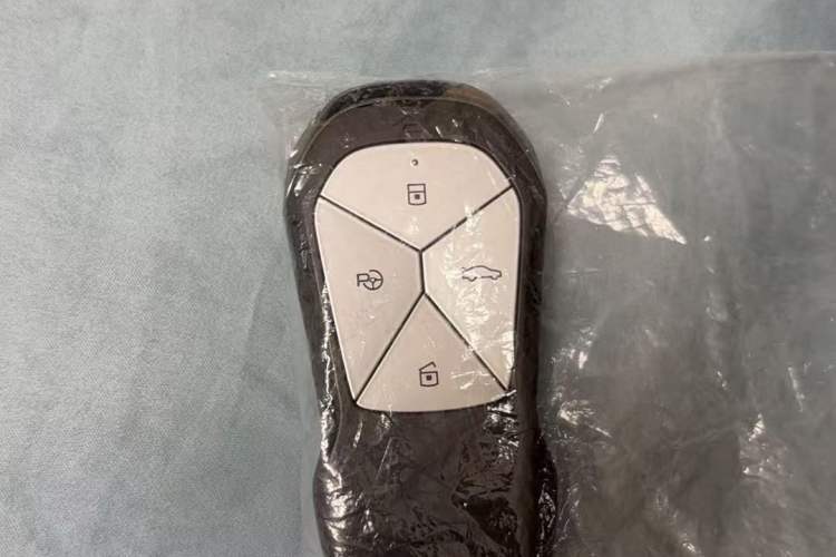 Used XPeng P5 2022 460E+ Vehicle Key