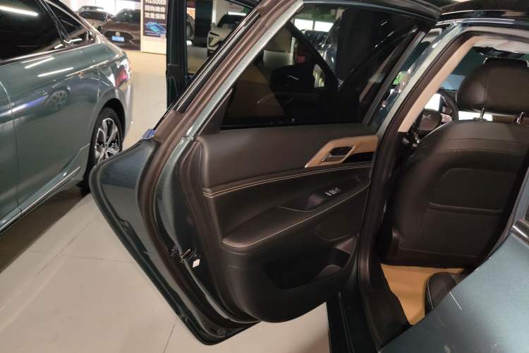 Used XPeng P5 2022 550P Left Rear Door Interior