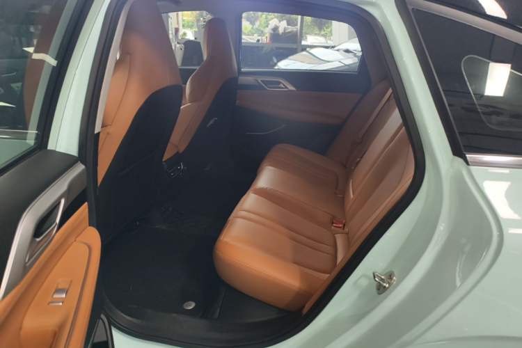 Used XPeng P5 2022 550E Left Rear Seat